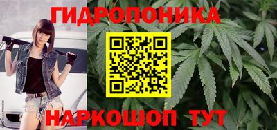 ПСИЛОЦИБИНОВЫЕ ГРИБЫ Аргун