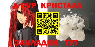 прущие грибы Апшеронск