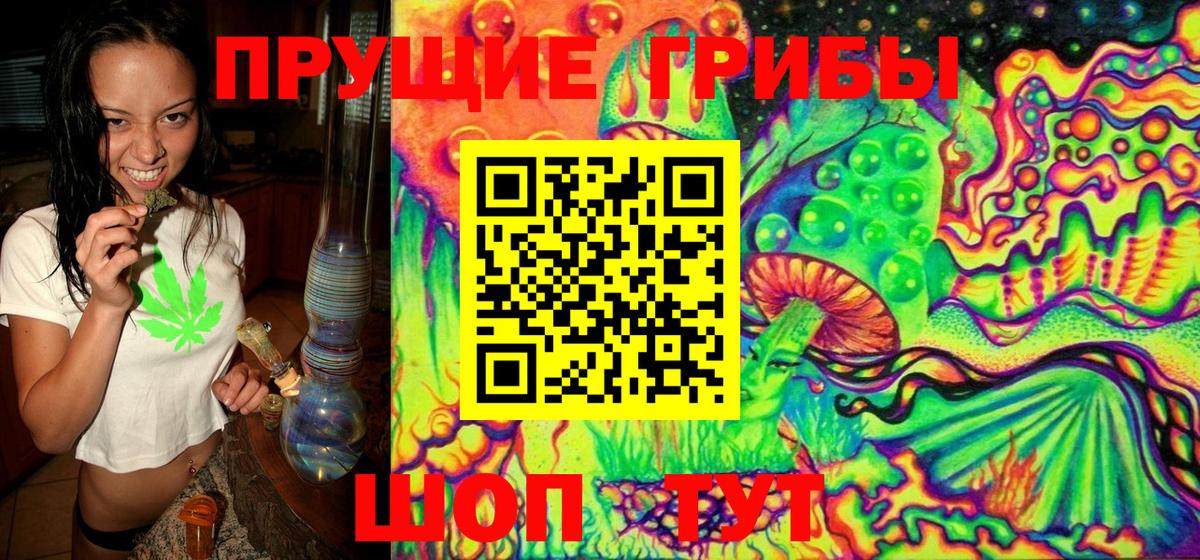 Псилоцибиновые грибы MAGIC MUSHROOMS Бор