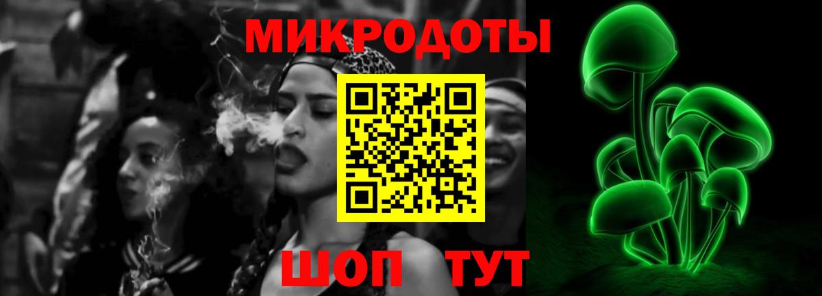 Галлюциногенные грибы Psilocybe  купить наркотик  Вход с VPN  Бор  Галлюциногенные грибы мухоморы 